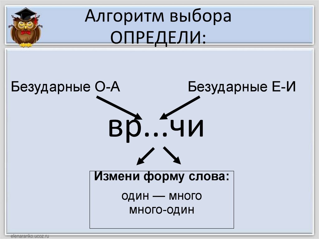 Алгоритм выборов