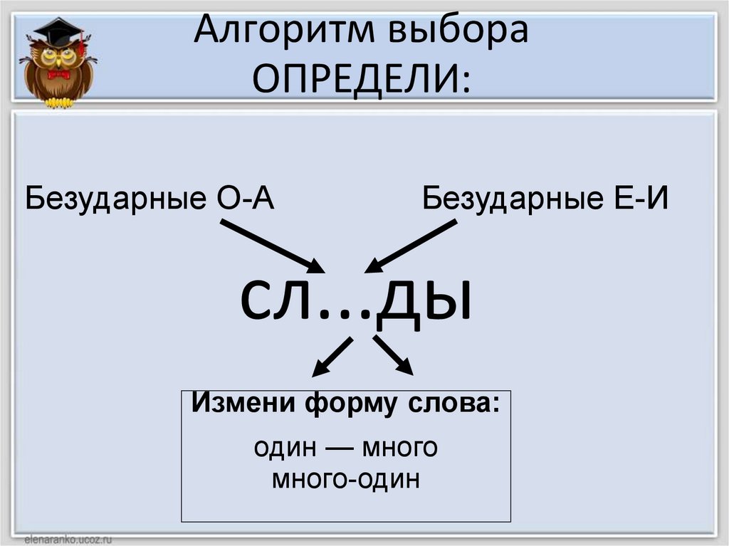 Алгоритм выбора