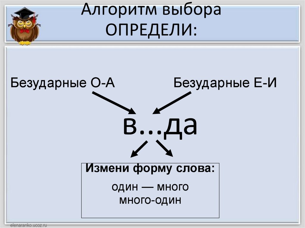 Алгоритм выбора