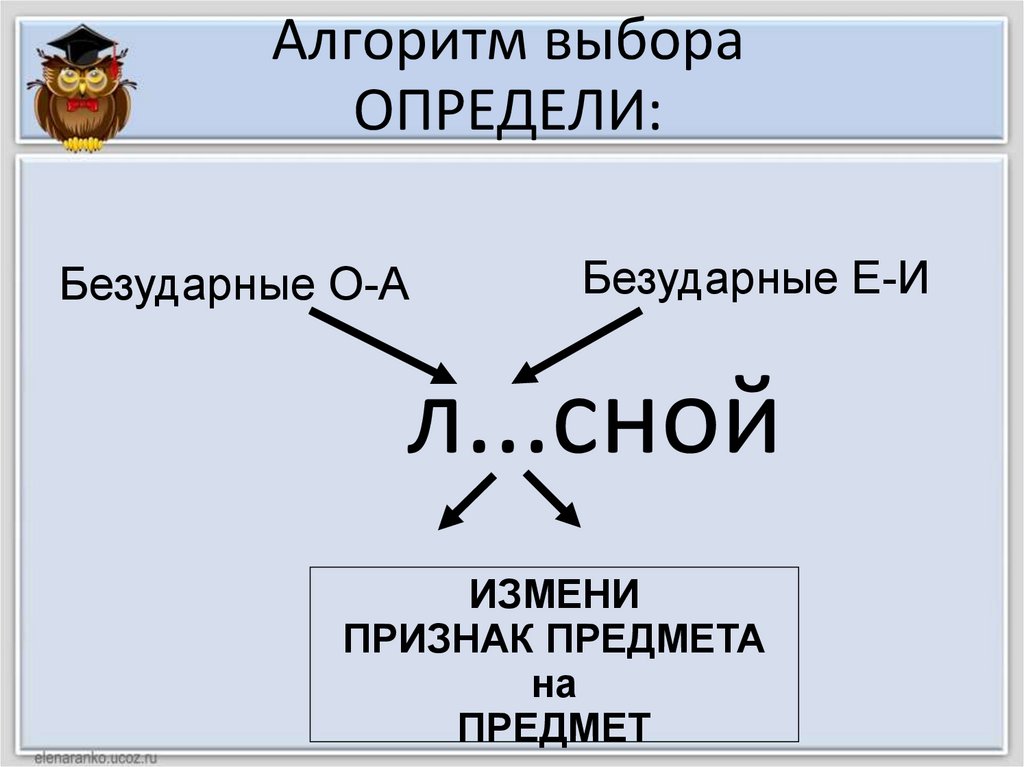 Алгоритм выборов