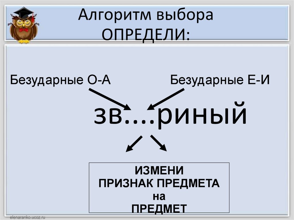 Алгоритм выбора