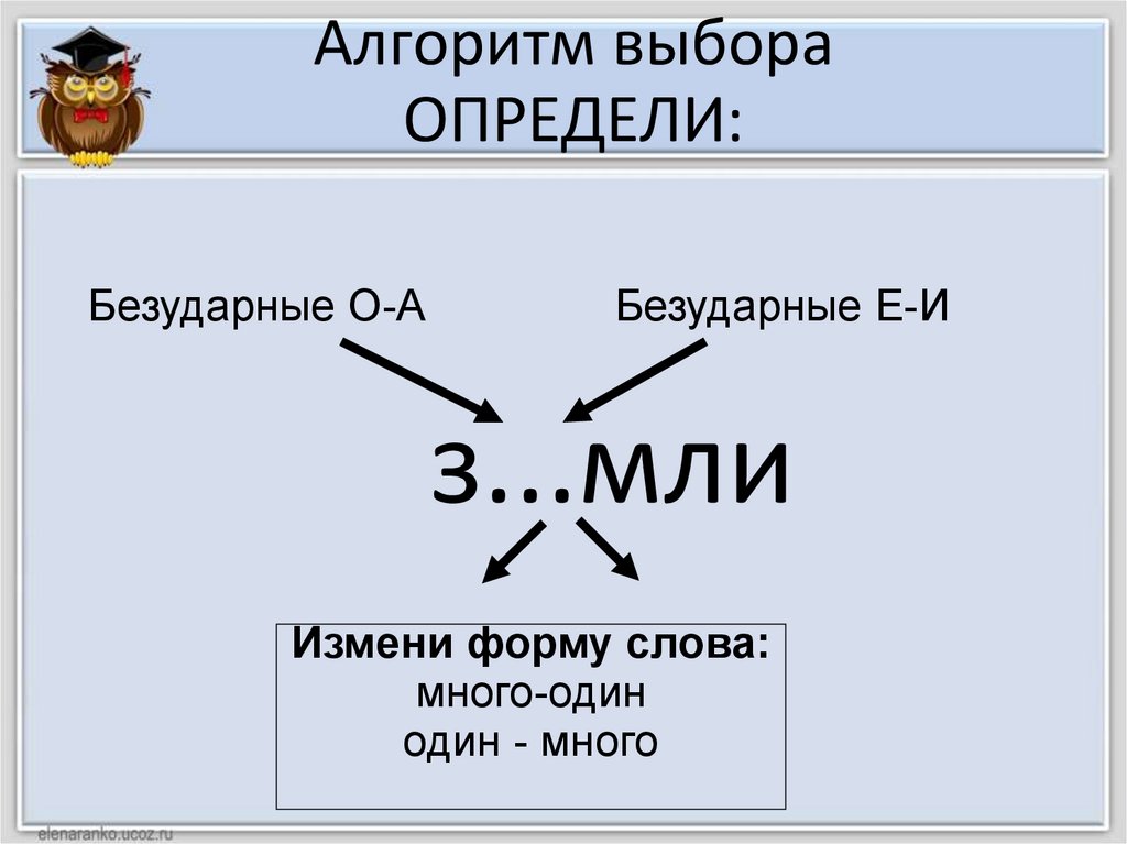 Алгоритм выбора