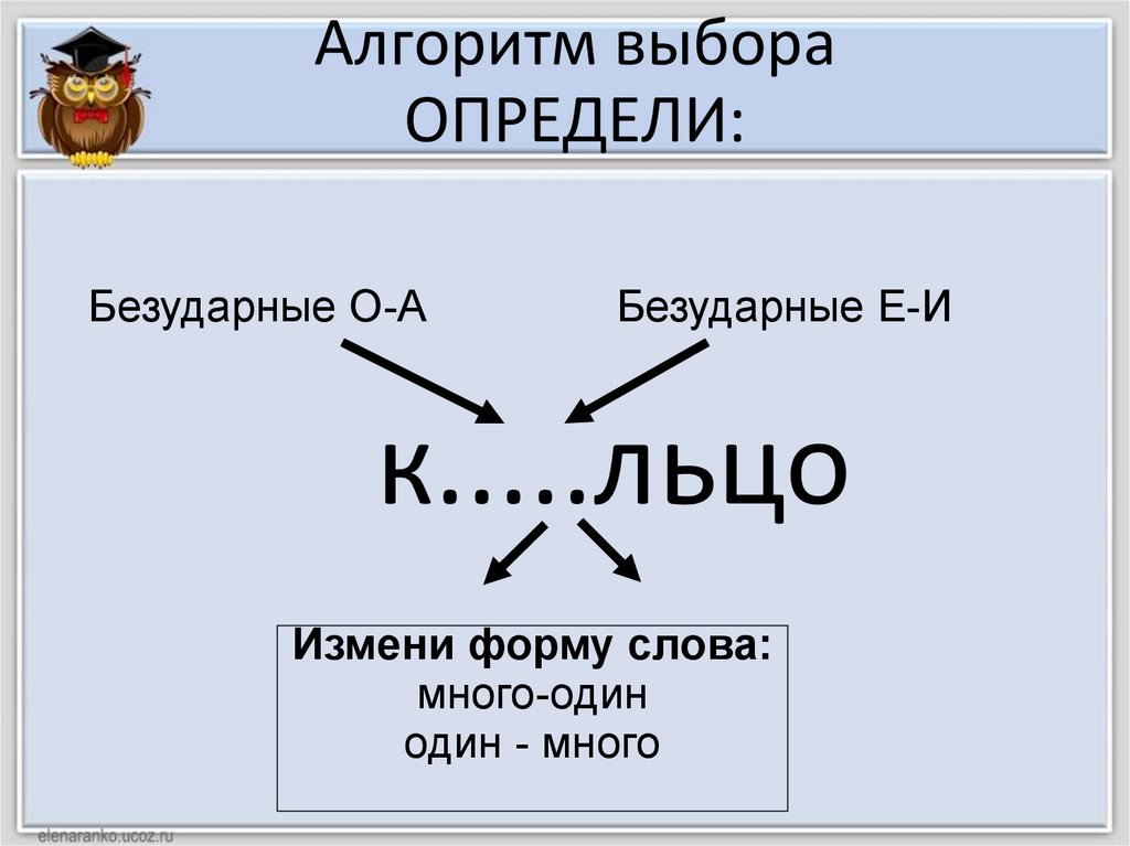 Алгоритм выбора ОПРЕДЕЛИ: