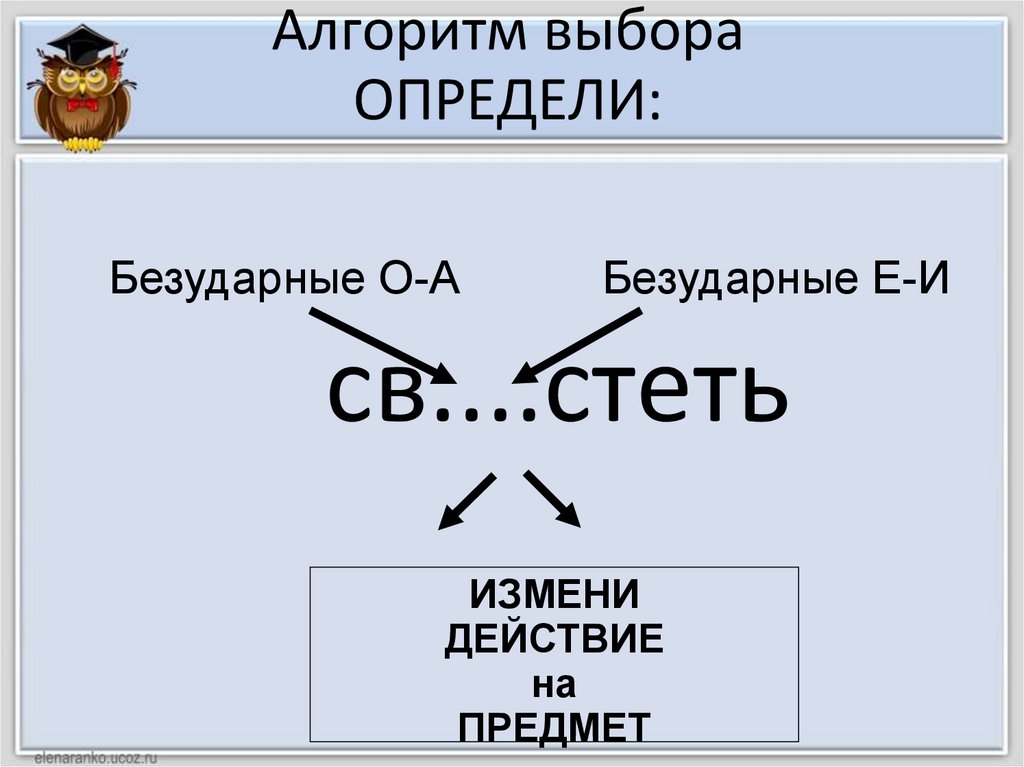 Алгоритм выборов