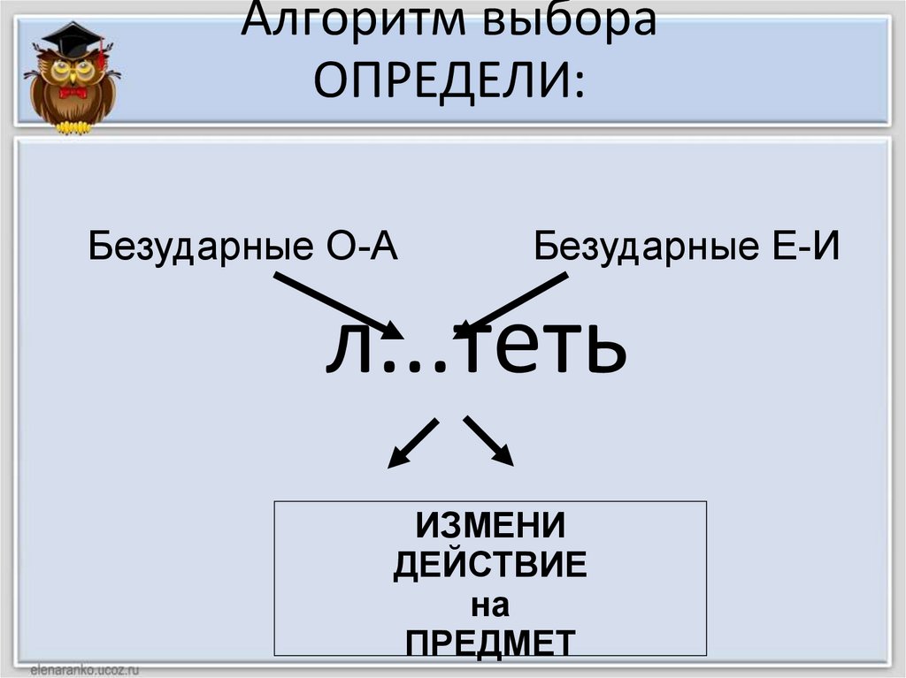 Алгоритм выборов