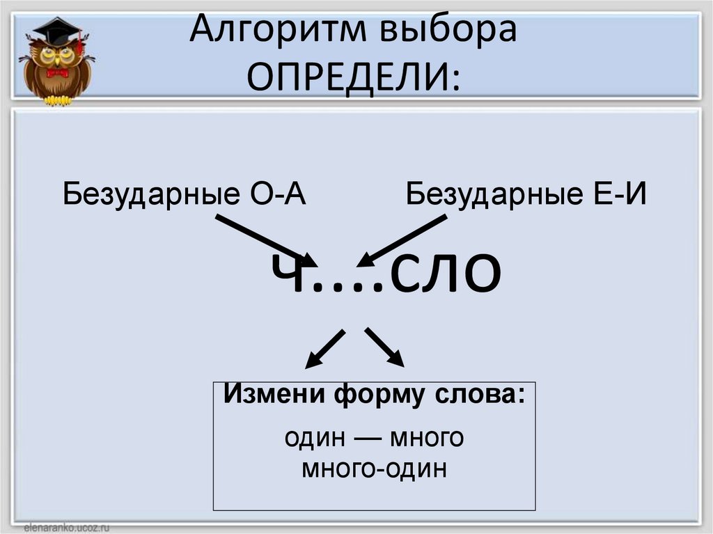 Алгоритм выбора