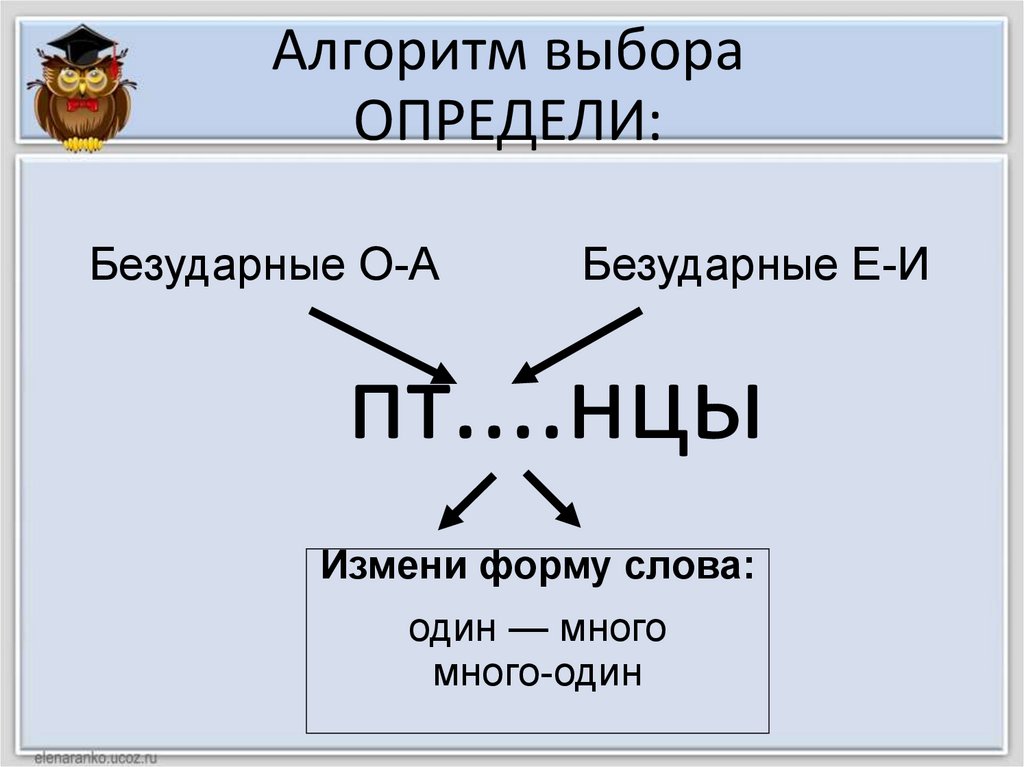 Алгоритм выборов