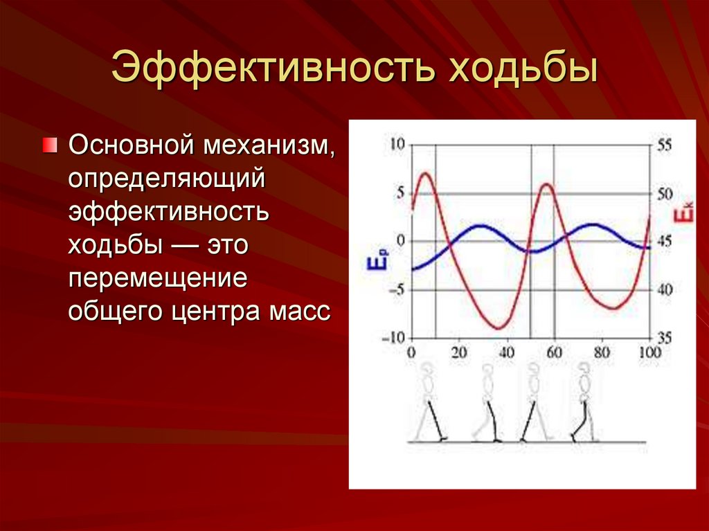 Основный центр