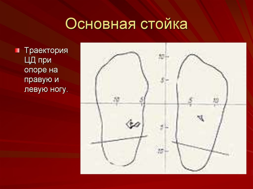 Основная стойка