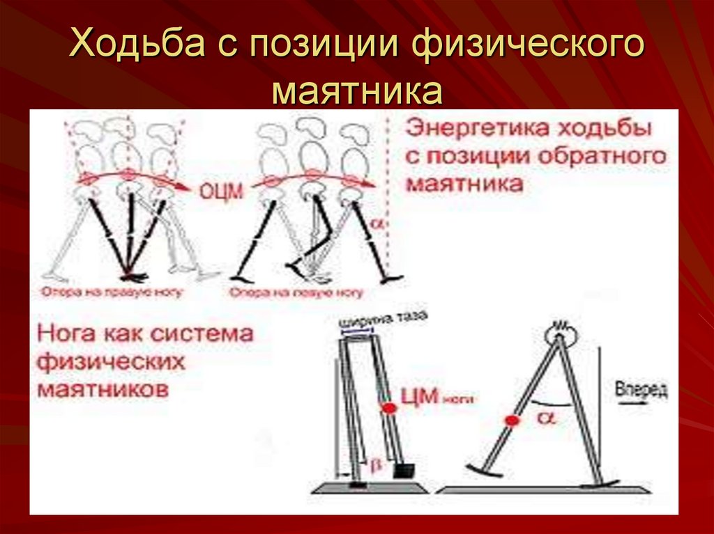 Система маятник. Позиции маятника. Обратный маятник. Модель обратного маятника. Правило маятника.