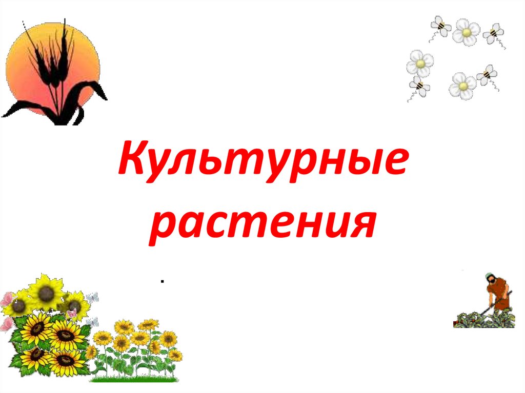 Культурное растение проект 6 класс