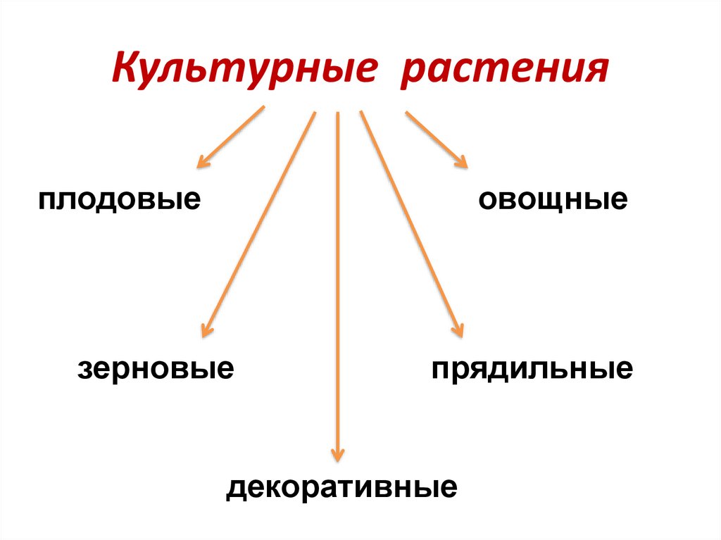 Зерновые овощные плодовые