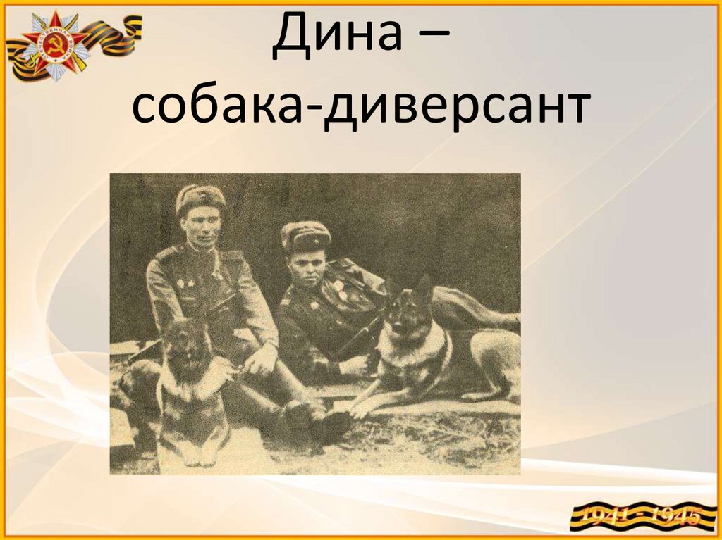 Дина – собака-диверсант