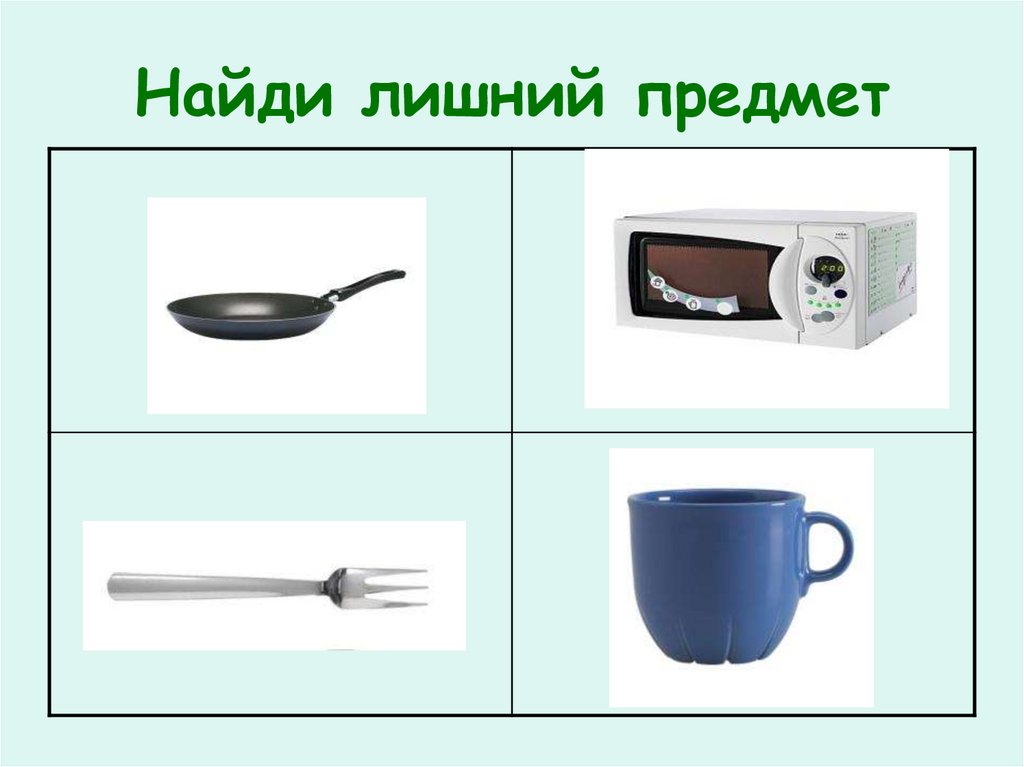 Найди лишний предмет