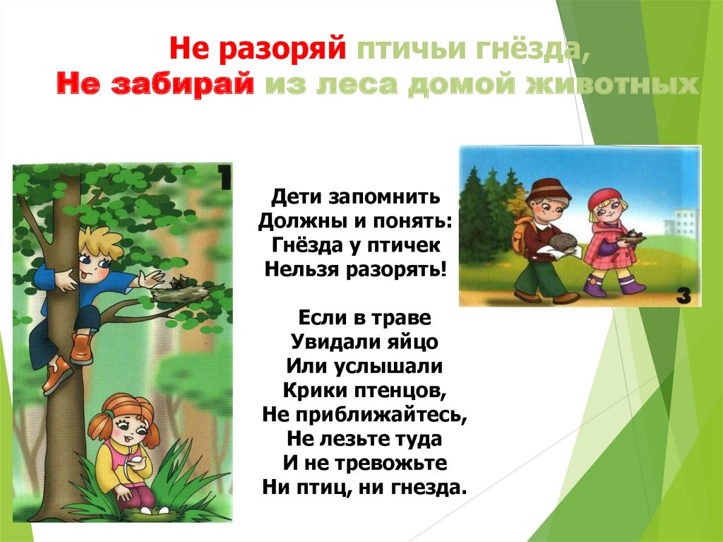 Презентация для дошкольников на тему берегите природу