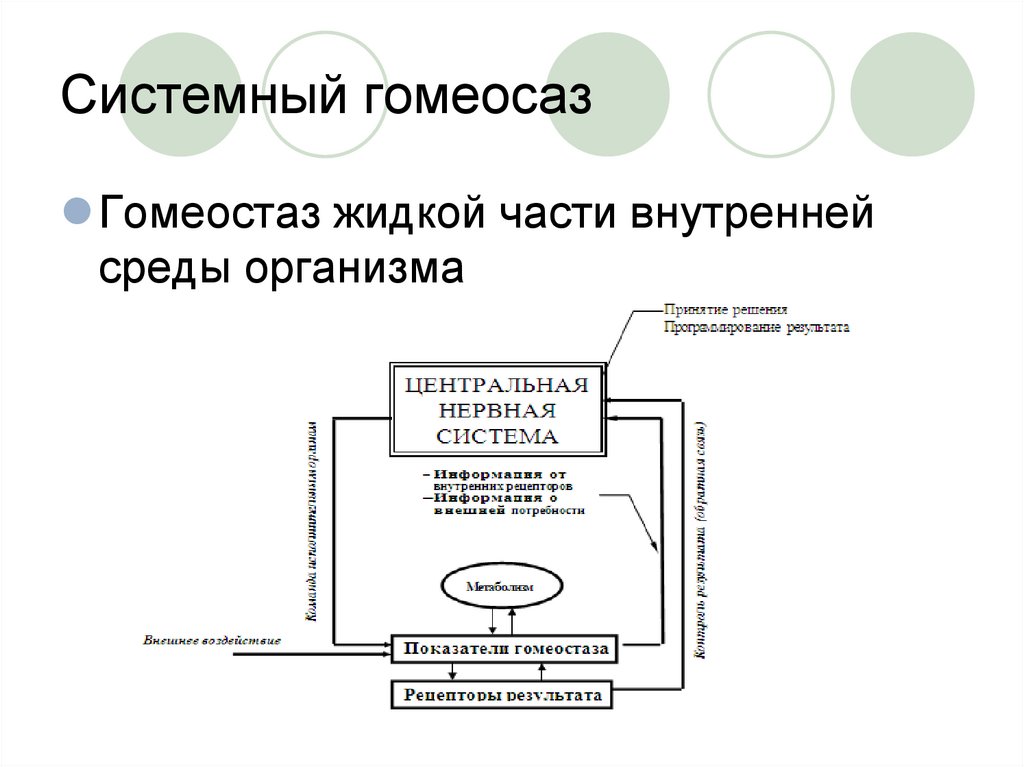 Гомеостаз экосистемы презентация