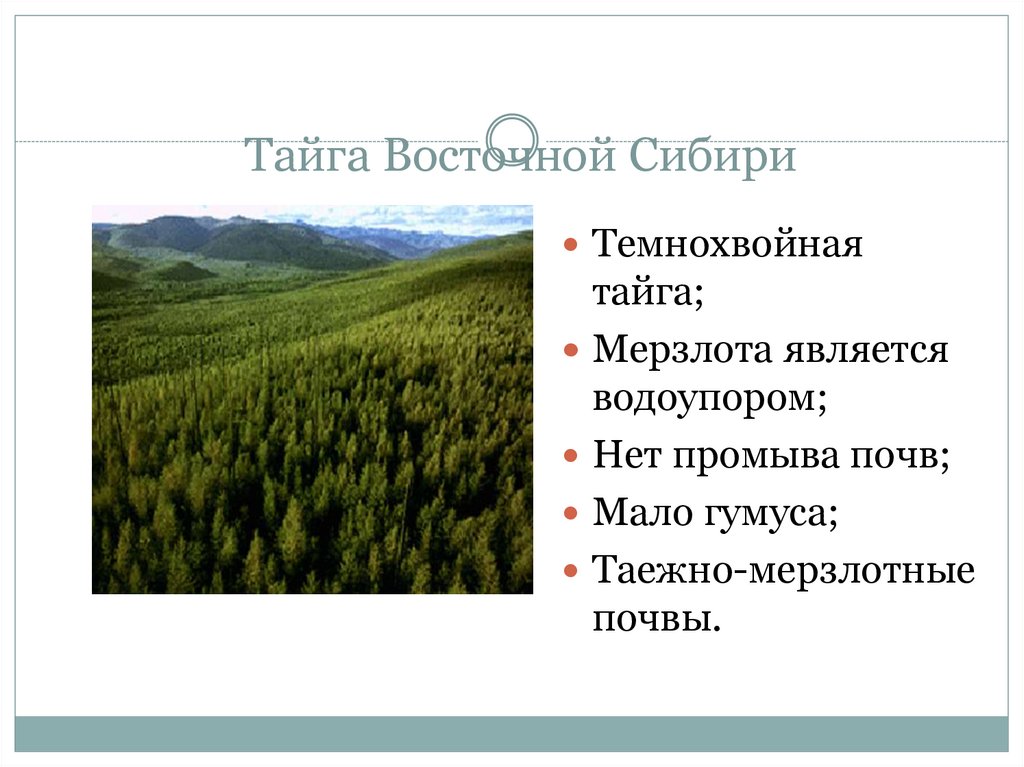 Какой климат в природной зоне тайга. Природные зоны Восточно сибирской тайги. Почвы Восточной Сибири Сибири. Почва темнохвойной тайги. Почвы зоны тайги.