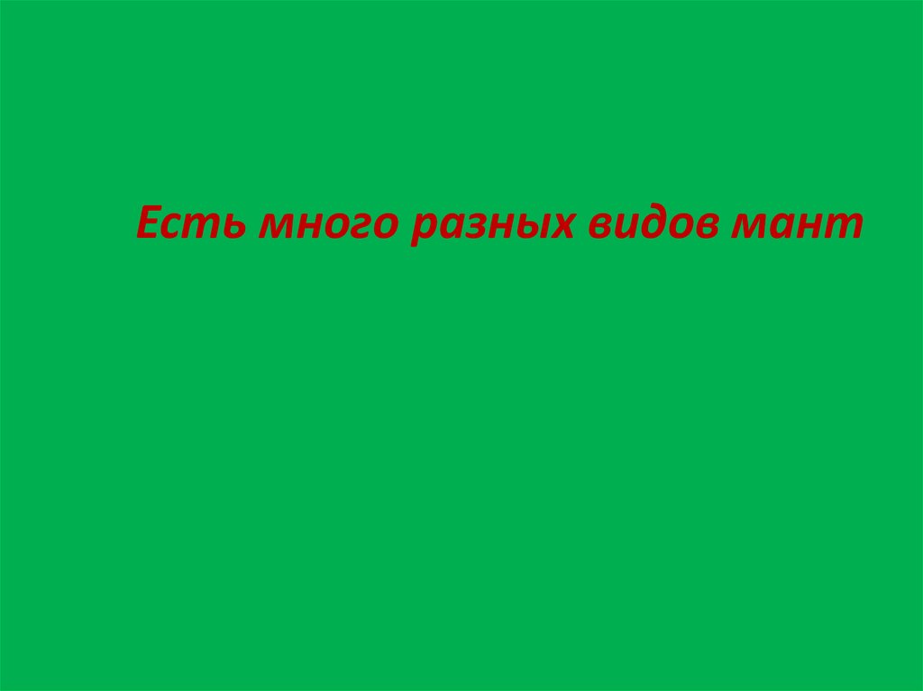 Презентация на тему любимое блюдо моей семьи