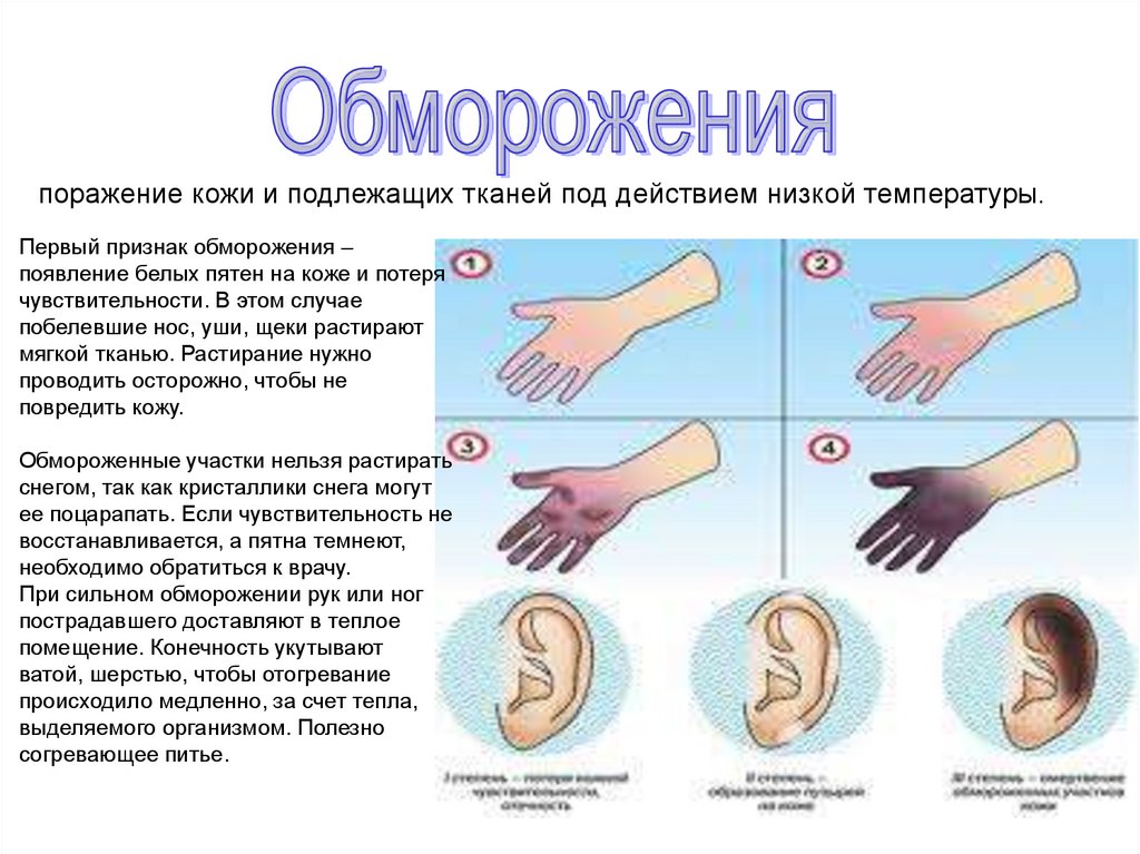 Какова первая помощь при травме волосистой