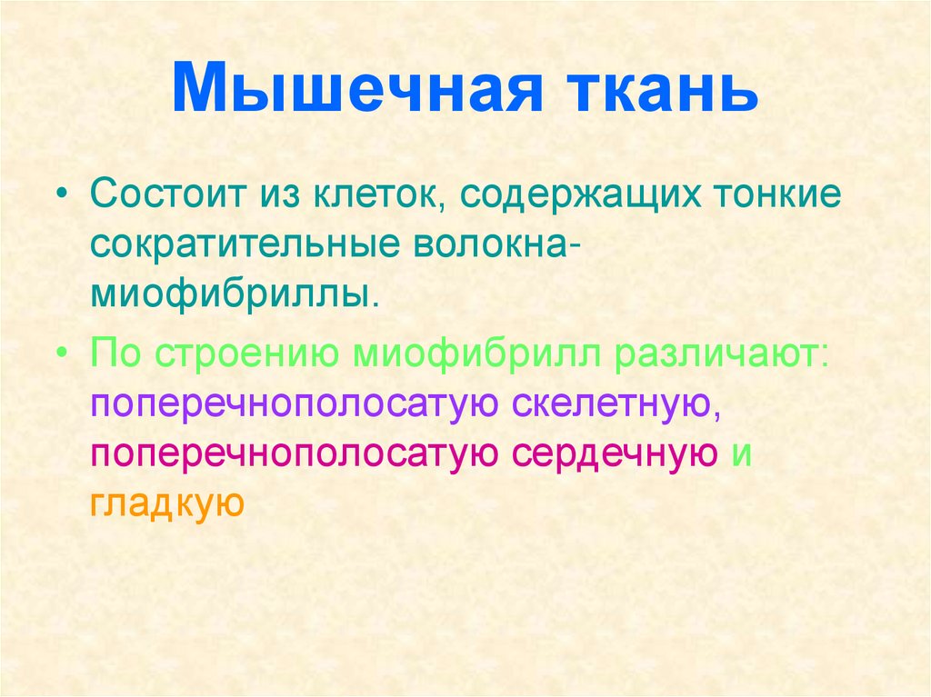 Мышечная ткань