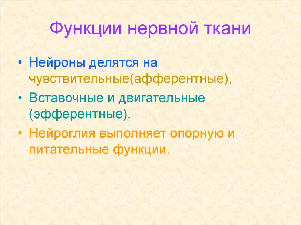 Функции нервной ткани