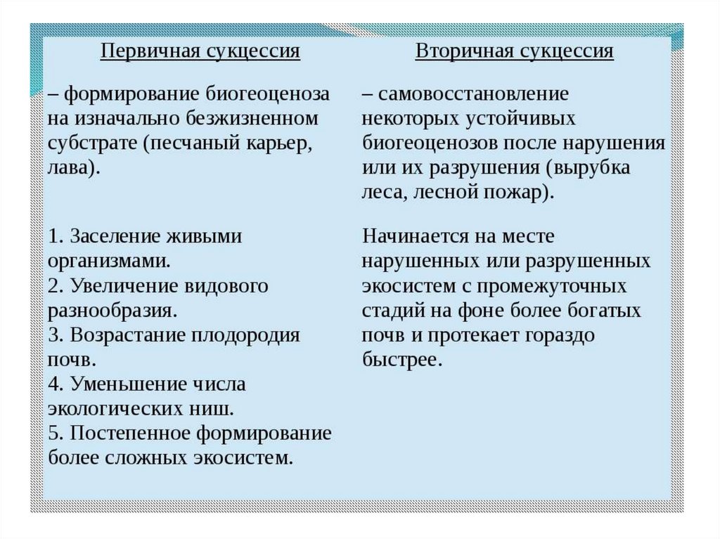 Экологическая сукцессия презентация 11 класс