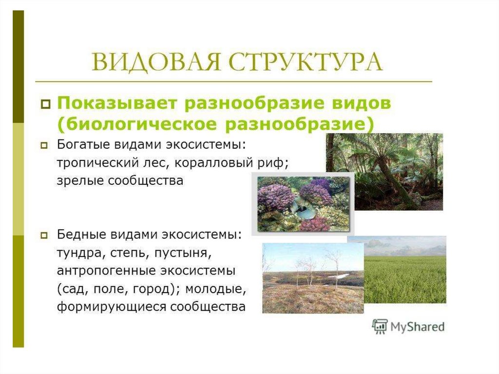 Что такое экологическое сообщество. Видовая структура биогеоценоза (экосистемы). Видовая структура агроэкосистемы. Видовая структура биоценоза. Видовая структура урбоэкосистемы.