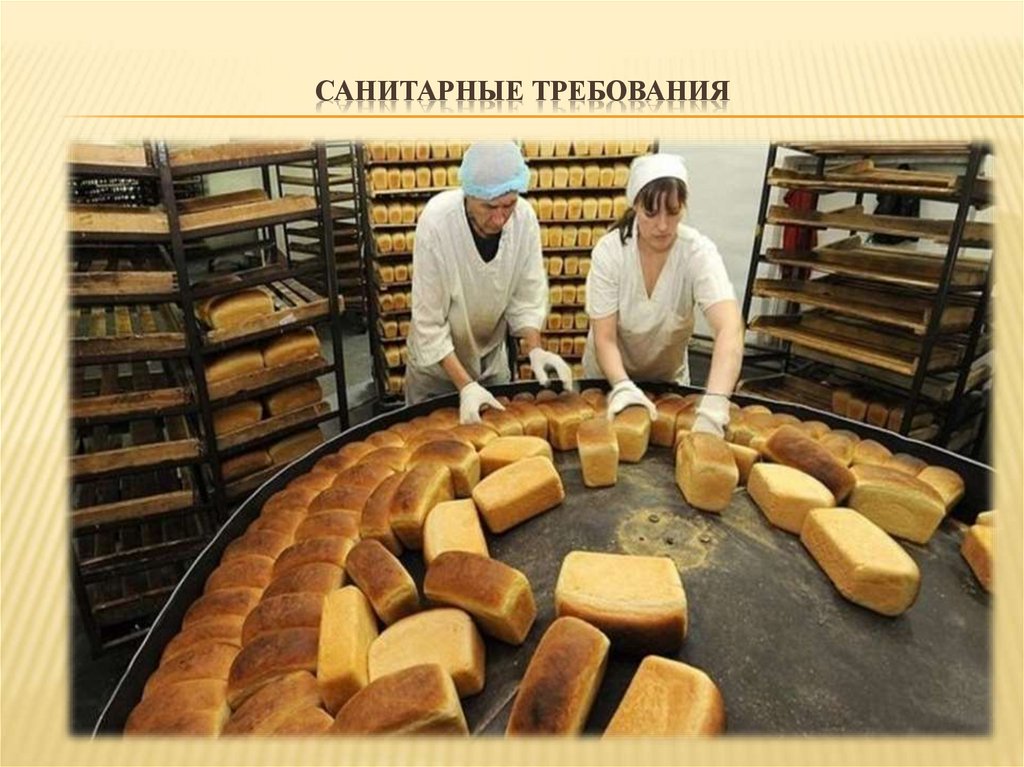 Санитарные требования