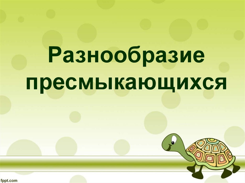 Многообразие пресмыкающихся презентация 7 класс