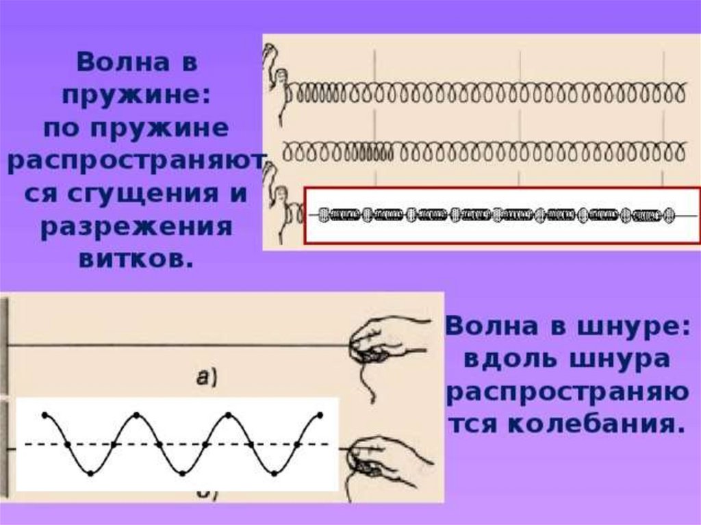 На рисунке представлена фотография шнура по которому распространяется поперечная волна