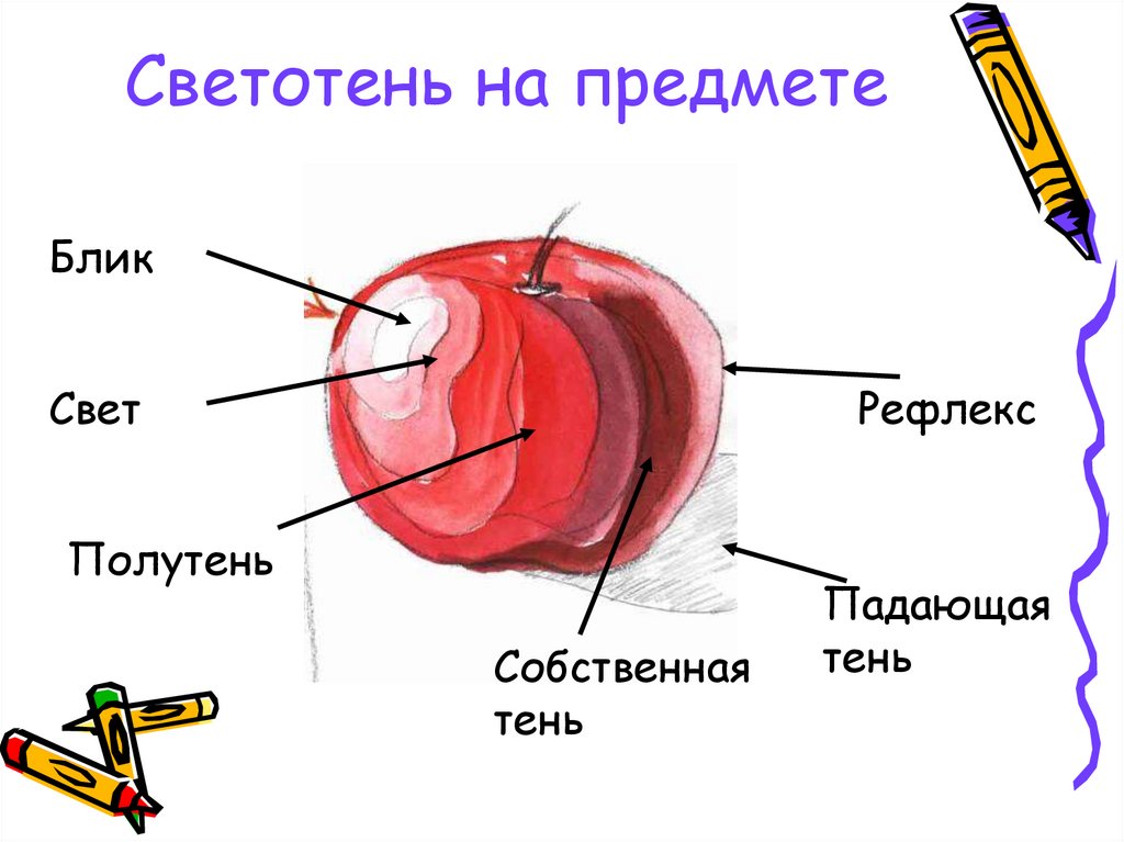 Покажите где на этом рисунке расположены блик свет полутень собственная тень рефлекс и падающая тень