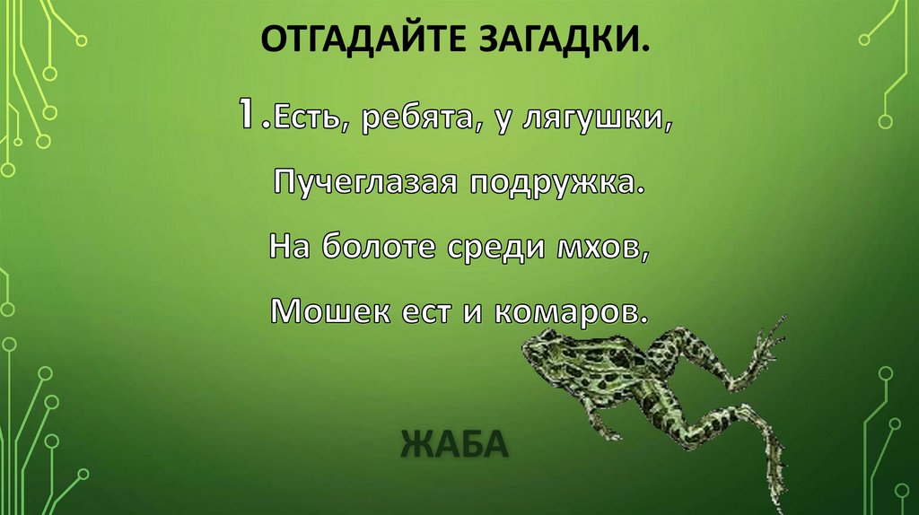 Отгадайте загадки.