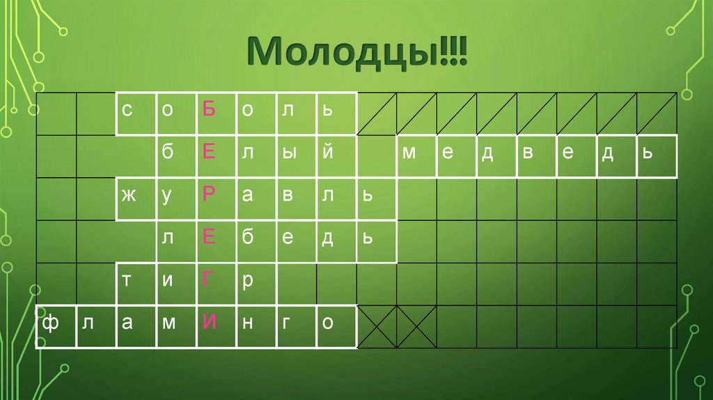 Молодцы!!!