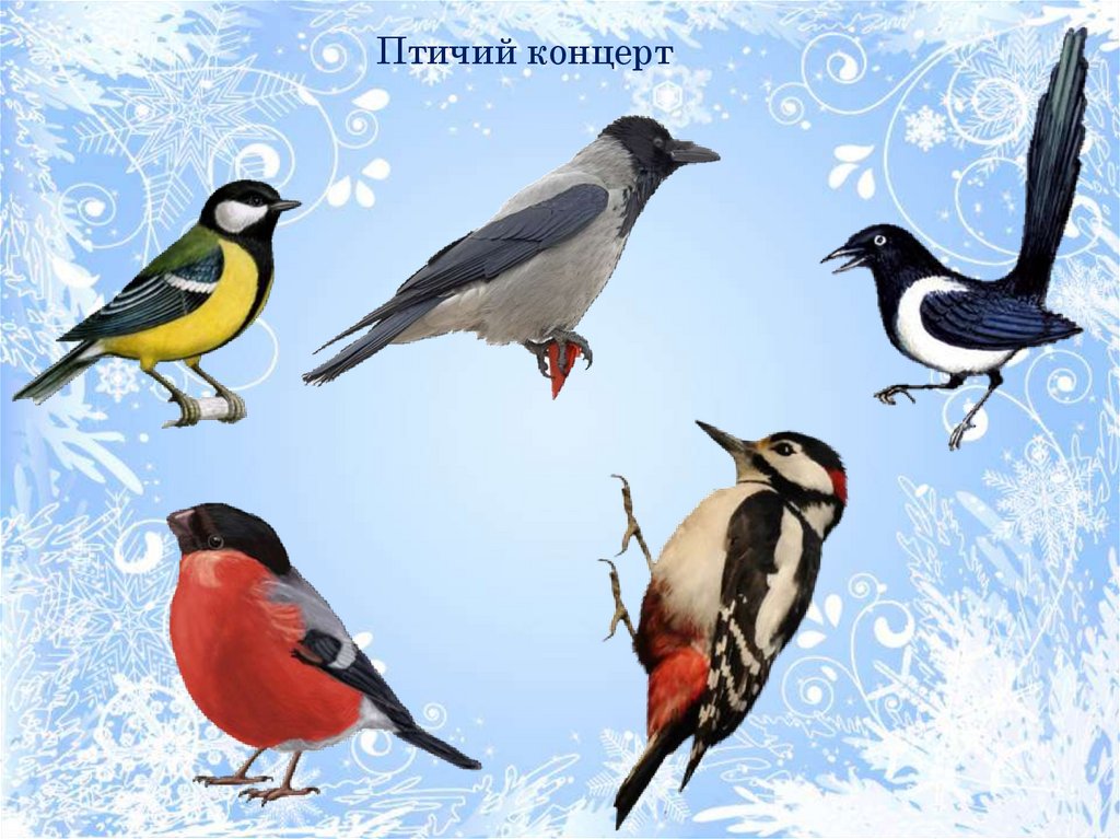 русланова зимующие птицы. физминутки про зимующих птиц. зимующие птицы занятие в подготовительной группе. зимующие птицы четвертый лишний старшая. теремкова зимующие птицы задания.