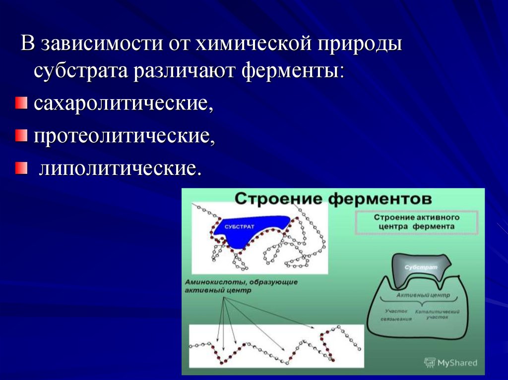 Химическая зависимость. Ферменты сахаролитические протеолитические. Протеолитические ферменты субстрат. Химическая природа ферментов. Липолитические ферменты механизм действия.