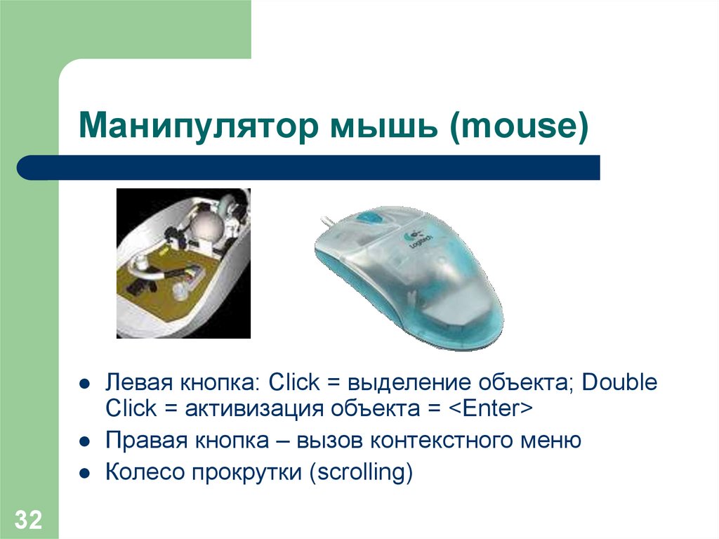 Манипулятор мышь (mouse)