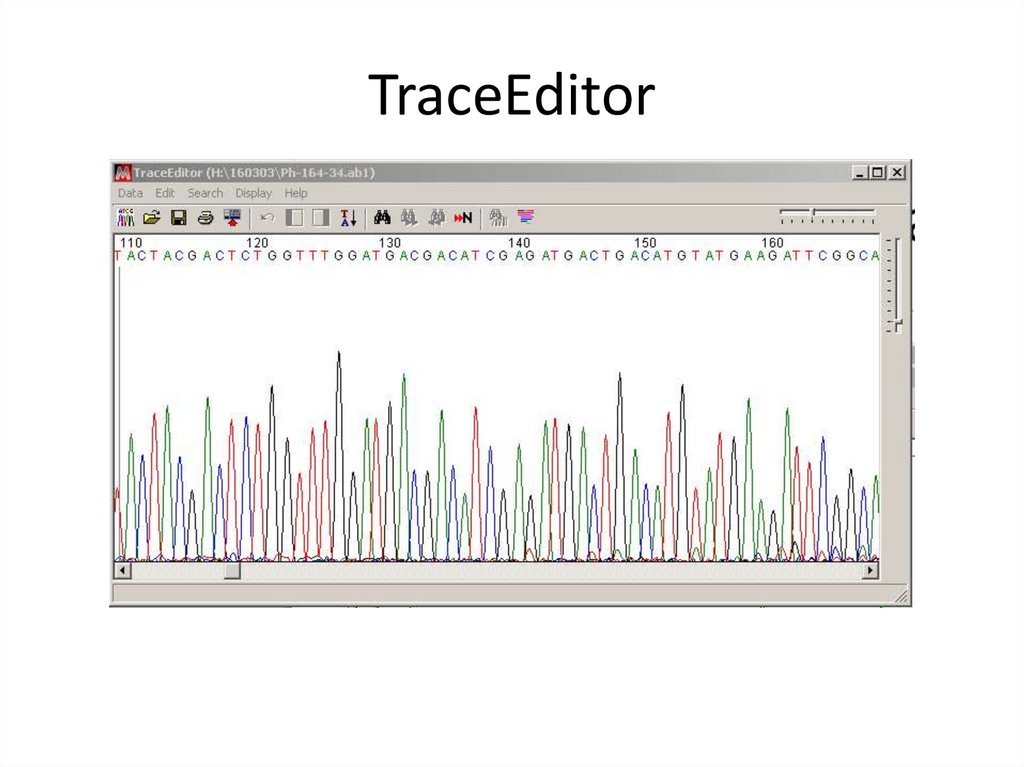 TraceEditor