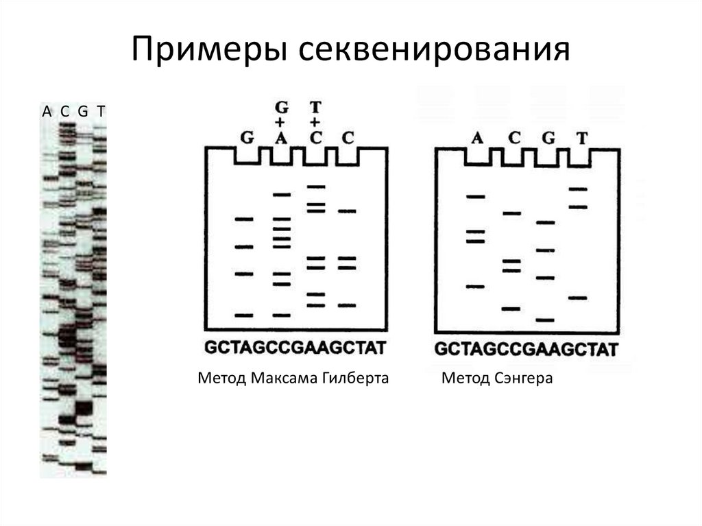 Примеры секвенирования