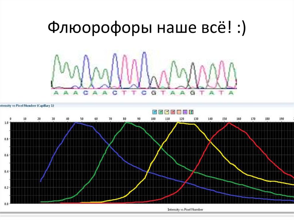 Флюорофоры наше всё! :)