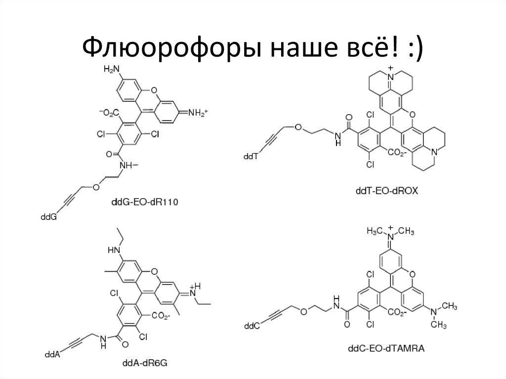 Флюорофоры наше всё! :)
