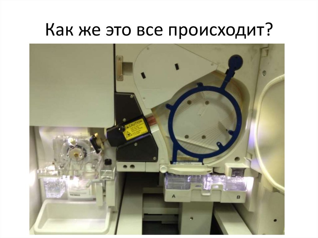 Как же это все происходит?