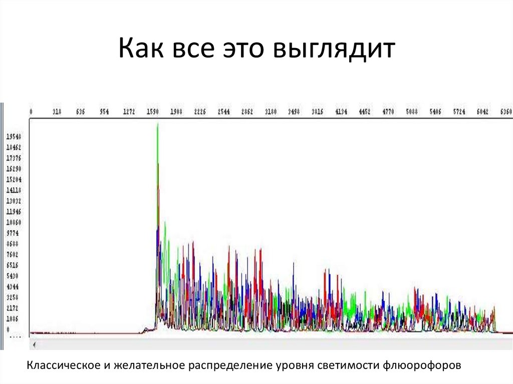 Как все это выглядит