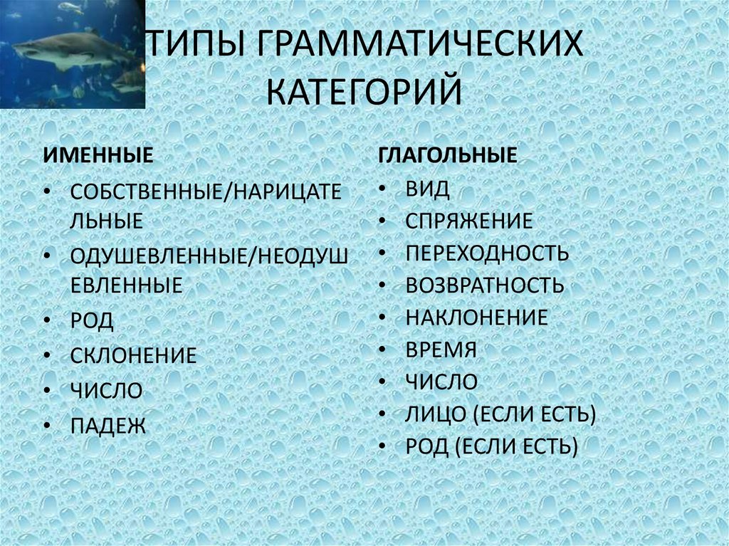 Типы грамматических категорий