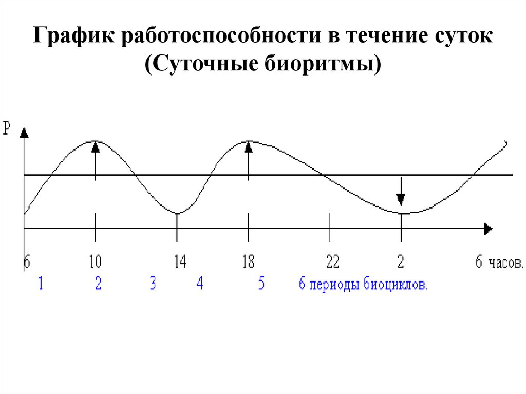 Время суток наиболее низкой работоспособности человека