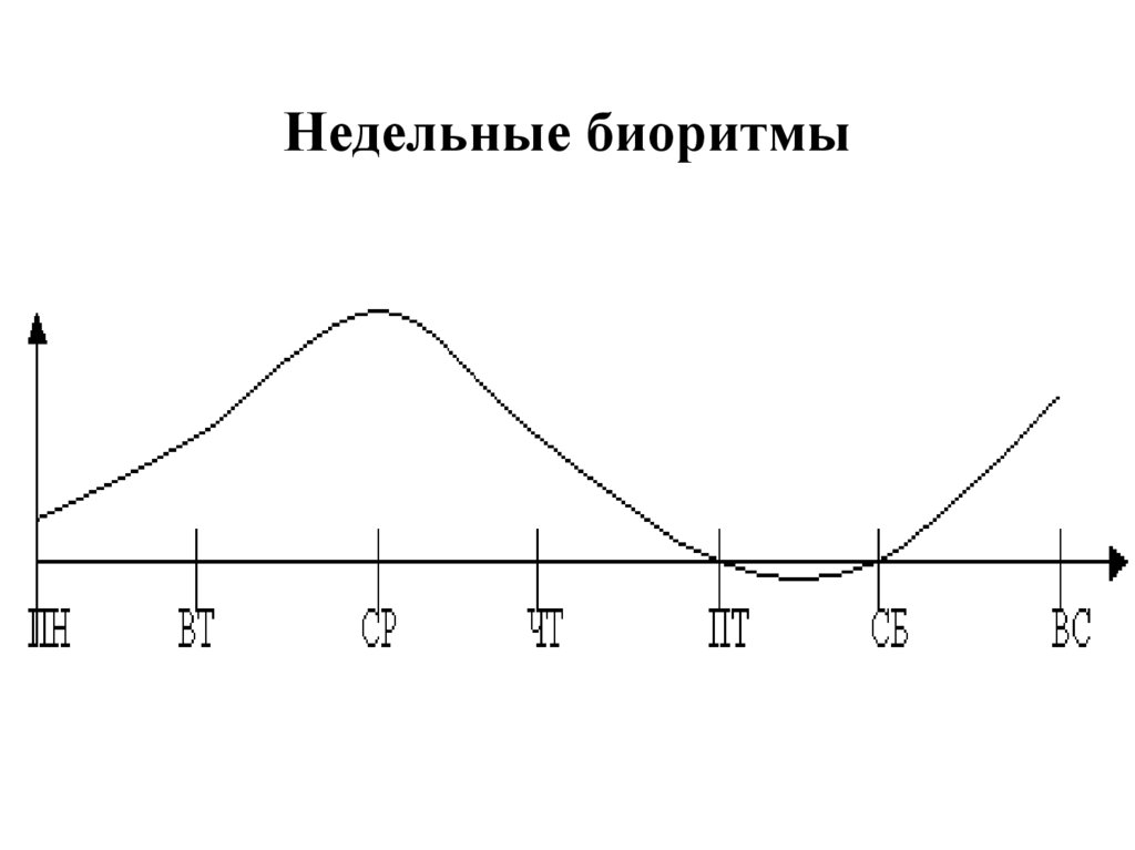 Недельная активность. Биологические ритмы и работоспособность человека. Влияние биоритмов на работоспособность человека. Биологические ритмы влияние на работоспособность. Влияние биологических ритмов на работоспособность человека.