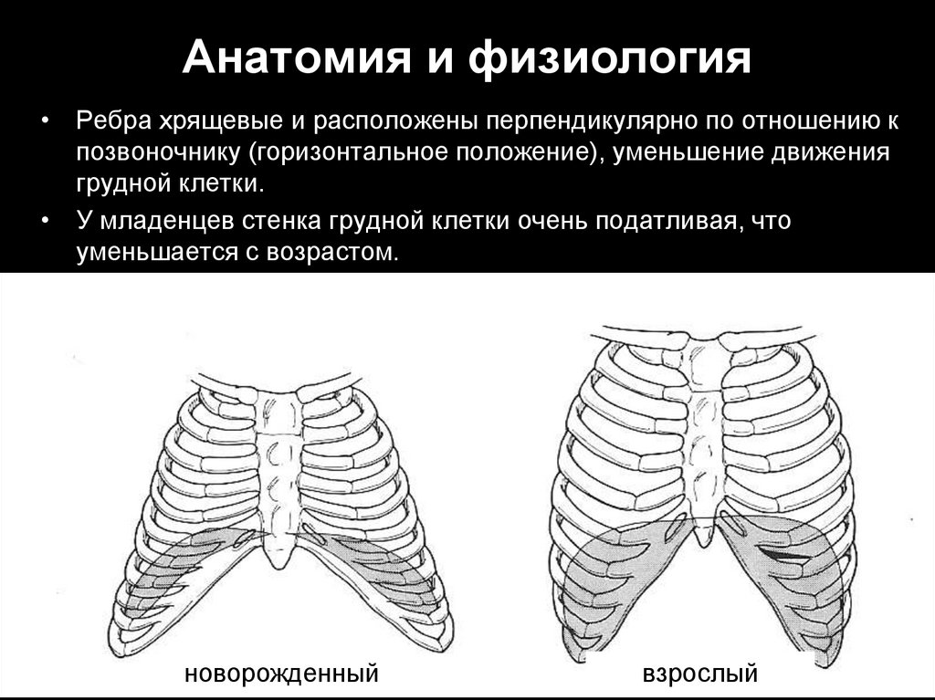 Рахитическая грудная клетка рисунок схематично