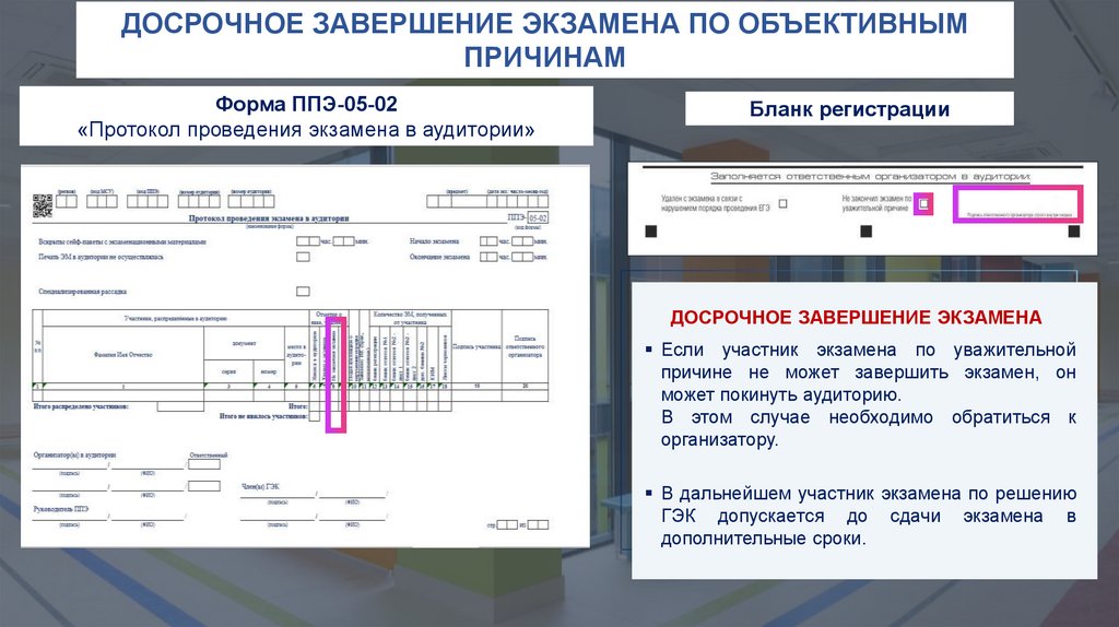 Заполнение формы ппэ 0 5 0 2