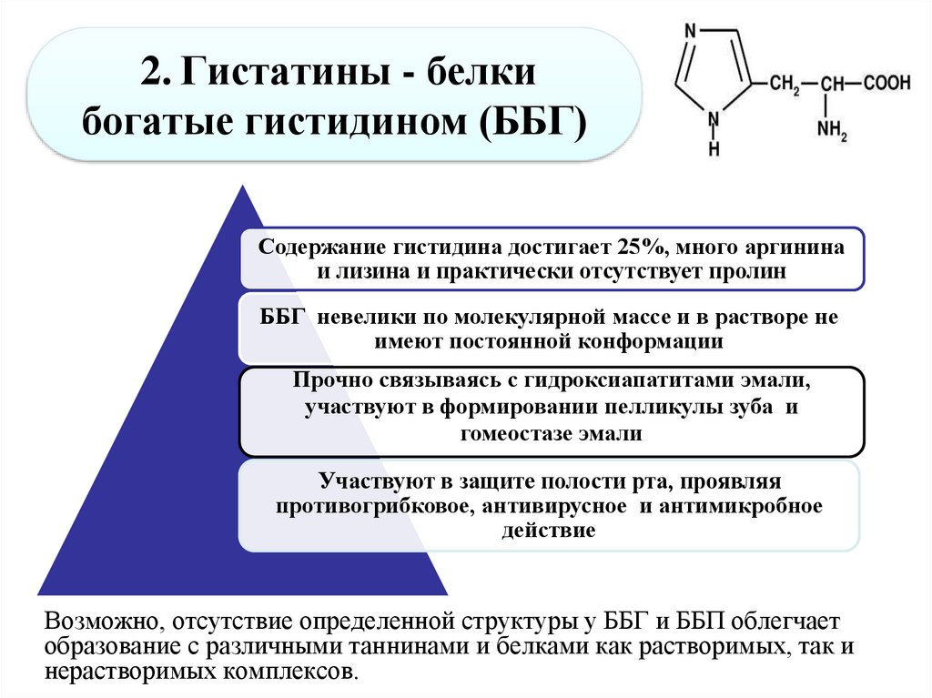 Белки обеспечивают