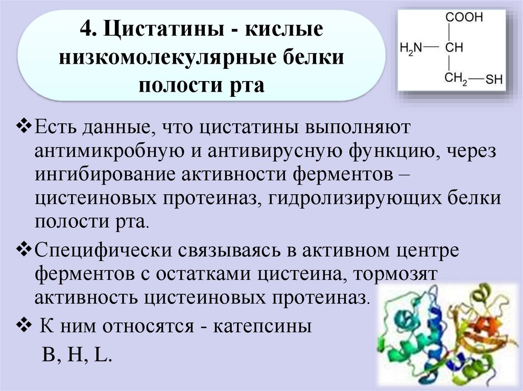 Белки сложные эфиры