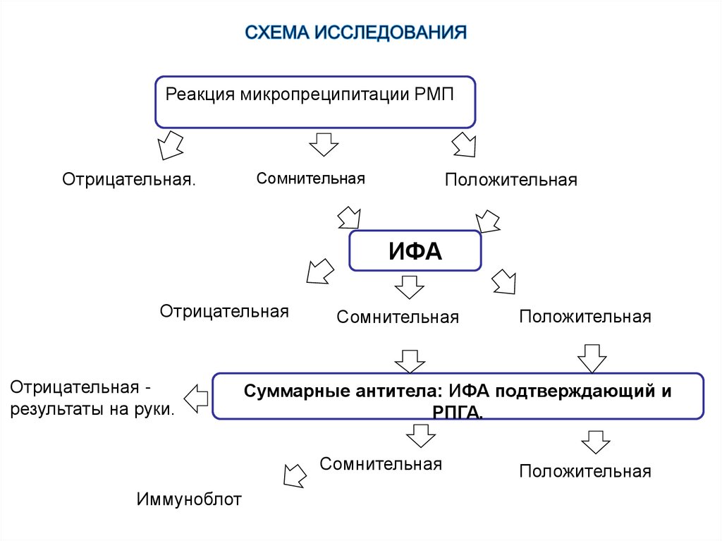 Схема исследования. Реакция микропреципитации. Реакция микропреципитации ИФА. ИФА положительный РМП отрицательный. Реакция микропреципитации на сифилис отрицательная.